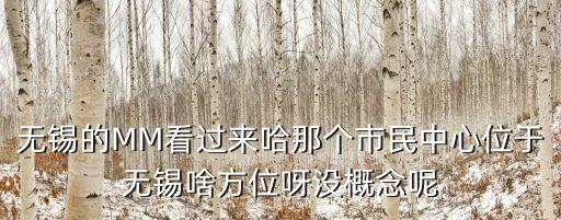 無錫的MM看過來哈那個市民中心位于無錫啥方位呀?jīng)]概念呢
