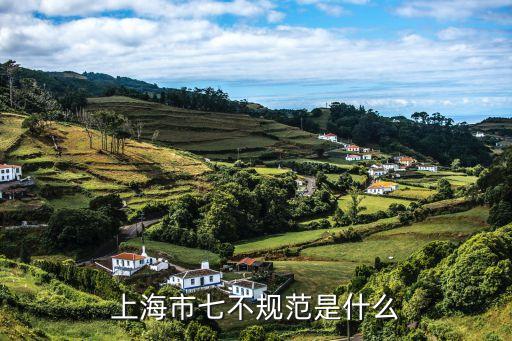 滬7條，上海機(jī)場(chǎng)7線(xiàn)的行車(chē)總時(shí)間