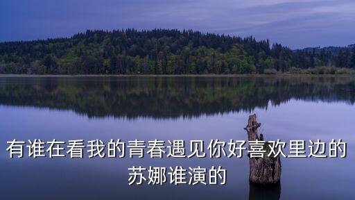 蘇娜，蘇娜韓語怎么寫