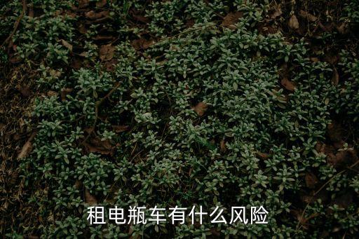 租電瓶車有什么風(fēng)險