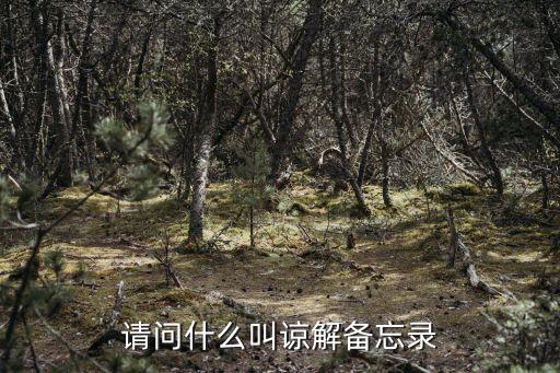 諒解備忘錄，協(xié)議諒解備忘錄是什么意思是正規(guī)的合同文本還是別的什么  搜