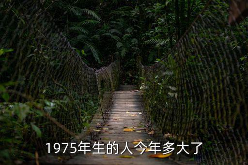 75年多大了，1975年生的人今年多大了