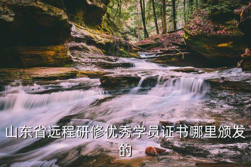 山東遠程研修，山東省教師教育網(wǎng)的遠程研修從什么時間開始的