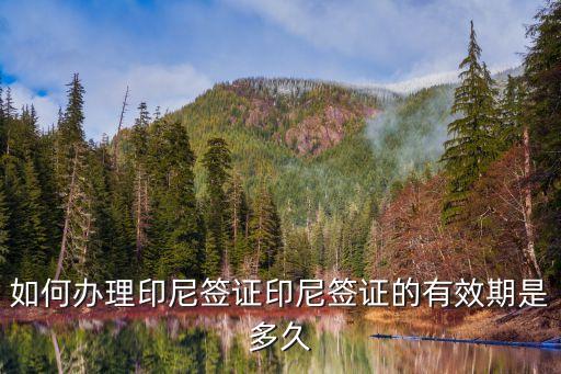 如何辦理印尼簽證印尼簽證的有效期是多久