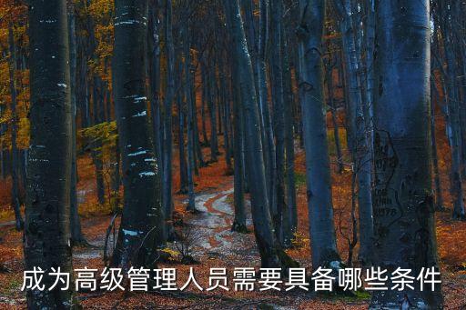 成為高級管理人員需要具備哪些條件
