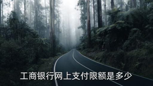 工商銀行網(wǎng)上支付限額是多少