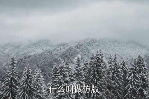 什么叫做仿版