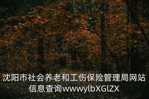 沈陽市社會養(yǎng)老和工傷保險管理局網(wǎng)站信息查詢wwwylbXGlZX