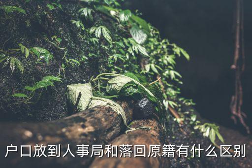 落回，請問大學生畢業(yè)落回原籍流程和具體注意事項
