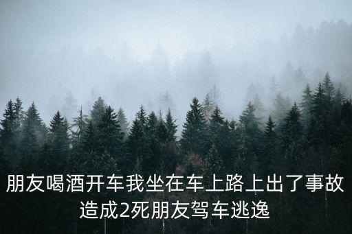 朋友喝酒開車我坐在車上路上出了事故造成2死朋友駕車逃逸