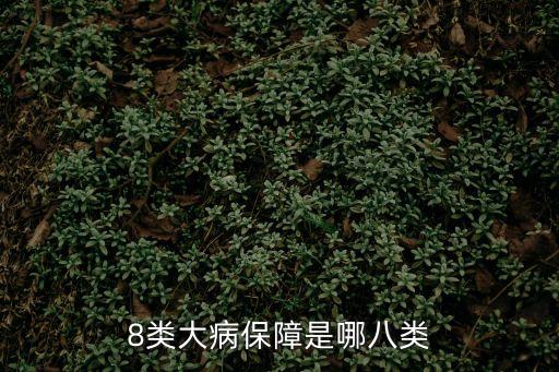 8類(lèi)大病保障是哪八類(lèi)