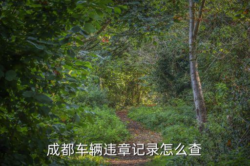 成都交通違章查詢，成都汽車違章到哪個(gè)網(wǎng)站查詢