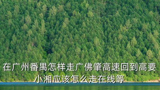 在廣州番禺怎樣走廣佛肇高速回到高要小湘應(yīng)該怎么走在線等