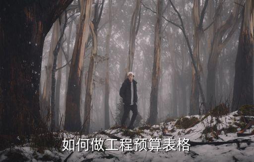 工程預(yù)算表，怎樣做預(yù)算表格