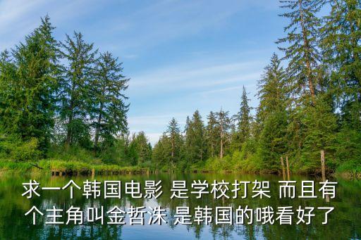 求一個韓國電影 是學(xué)校打架 而且有個主角叫金哲洙 是韓國的哦看好了