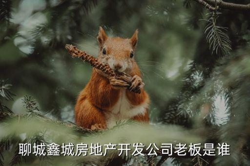 聊城鑫城房地產(chǎn)開(kāi)發(fā)公司老板是誰(shuí)