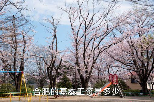 合肥工資，合肥的基本工資是多少