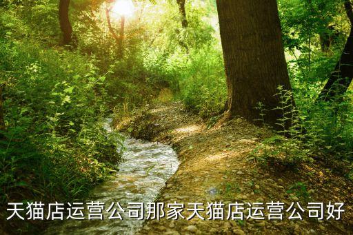 天貓店運(yùn)營(yíng)公司那家天貓店運(yùn)營(yíng)公司好