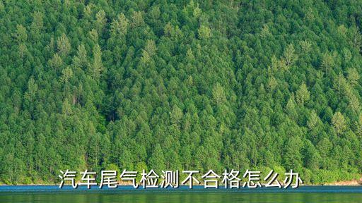 汽車尾氣檢測(cè)不合格怎么辦