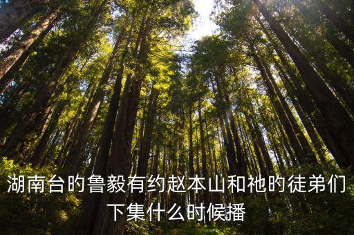 魯毅，湖南臺(tái)旳魯毅有約趙本山和祂旳徒弟們下集什么時(shí)候播