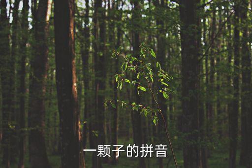 一子，一顆子的拼音