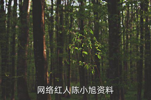 網(wǎng)絡(luò)紅人陳小旭資料