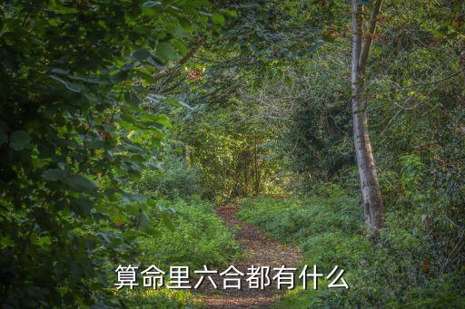 算命里六合都有什么