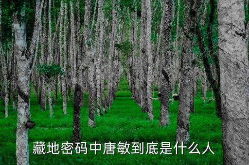 藏地密碼中唐敏到底是什么人