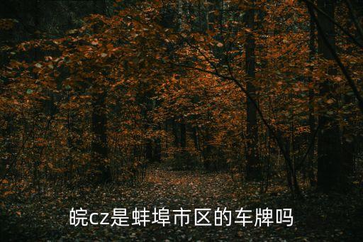 皖cz是蚌埠市區(qū)的車牌嗎