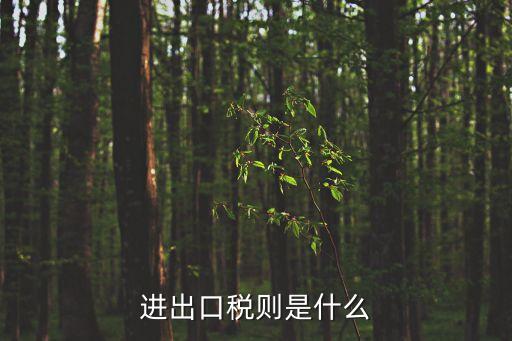 進出口稅則是什么