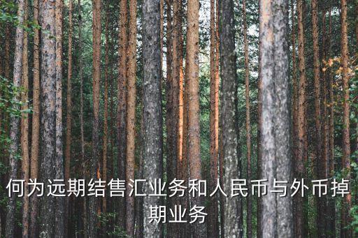 遠(yuǎn)期結(jié)售匯，遠(yuǎn)期結(jié)售匯是什么意思這東西有什么意義啊