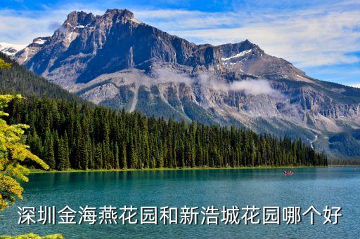 金海燕，金海燕在深圳什么區(qū)謝謝