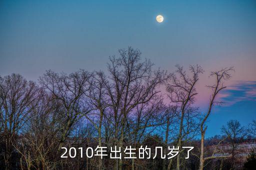 10年多大，2010年出生的幾歲了