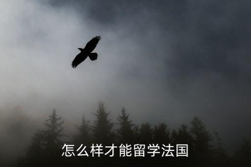 怎么樣才能留學(xué)法國(guó)