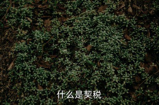 什么是契稅