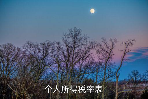 月度稅率表，個人所得稅率表
