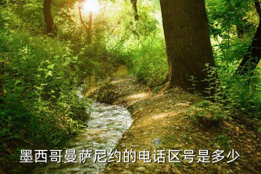 墨西哥曼薩尼約的電話區(qū)號(hào)是多少