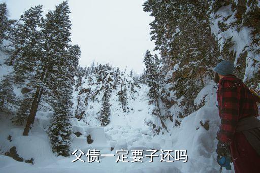父債子還嗎，如果父親欠債兒子應該還嗎