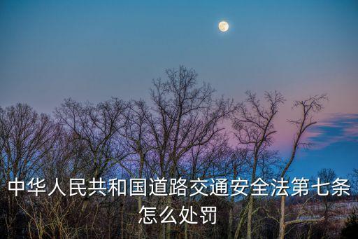 中華人民共和國道路交通安全法第七條怎么處罰