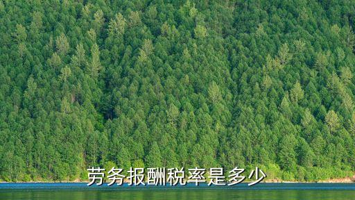 勞務(wù)報(bào)酬稅率，勞務(wù)費(fèi)的稅率是多少