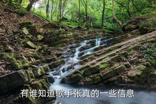 張真，有誰知道歌手張真的一些信息