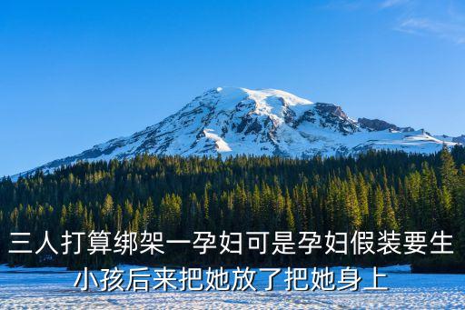 三人打算綁架一孕婦可是孕婦假裝要生小孩后來把她放了把她身上