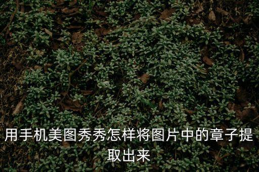 用手機(jī)美圖秀秀怎樣將圖片中的章子提取出來