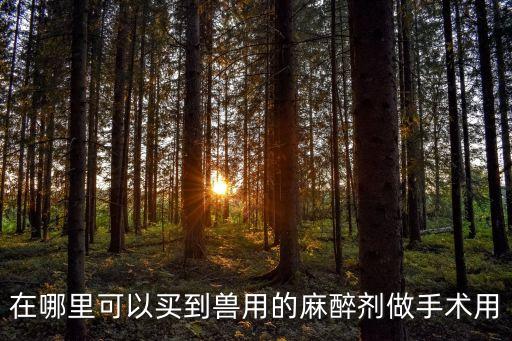 獸用麻醉藥，在哪里可以買(mǎi)到獸用的麻醉劑做手術(shù)用