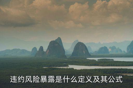 違約風(fēng)險(xiǎn)暴露是什么定義及其公式