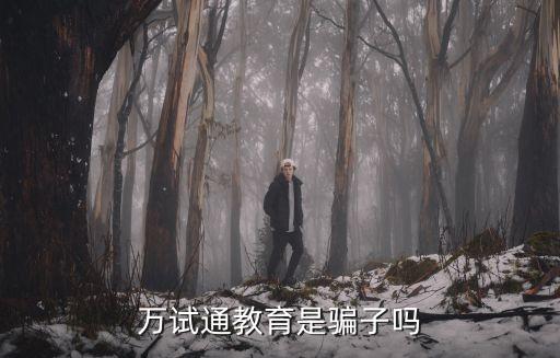 萬試通教育是騙子嗎