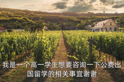 我是一個高一學(xué)生想要咨詢一下公費出國留學(xué)的相關(guān)事宜謝謝