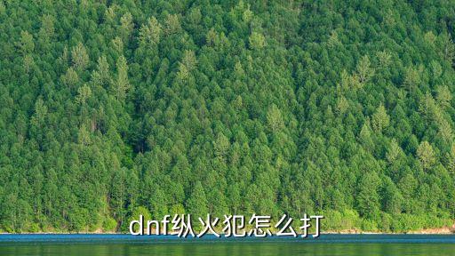 dnf縱火犯怎么打