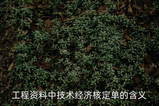 技術(shù)核定單，工程資料中技術(shù)經(jīng)濟(jì)核定單的含義