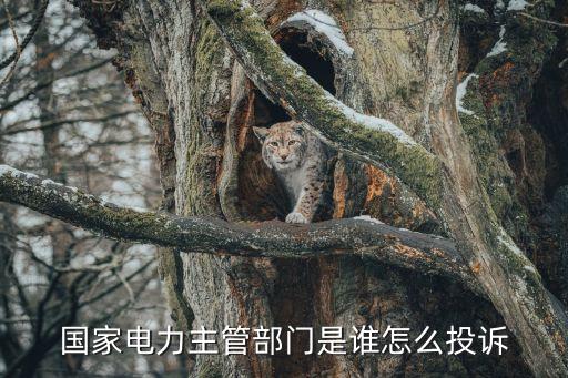 國家電力主管部門是誰怎么投訴